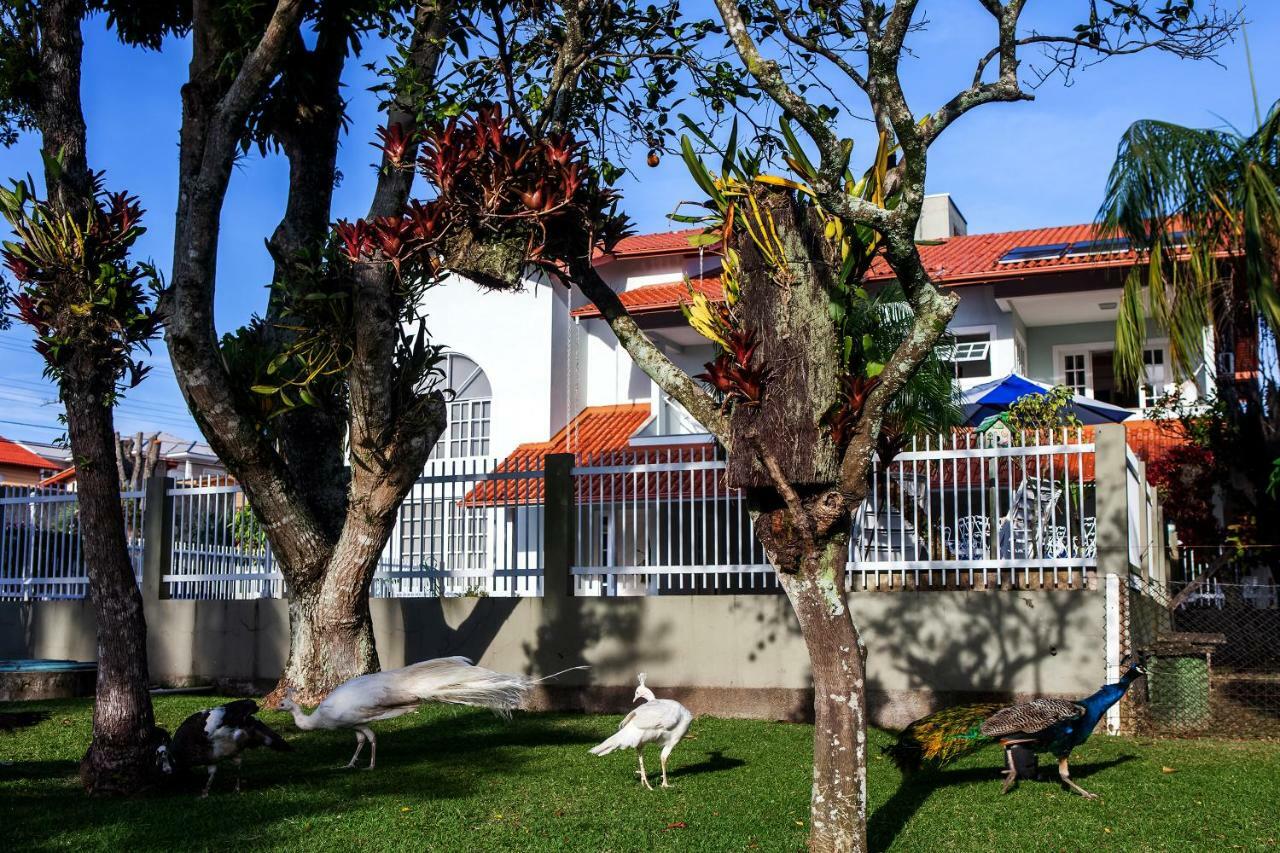 Florianópolis Pousada Pavao Branco المظهر الخارجي الصورة